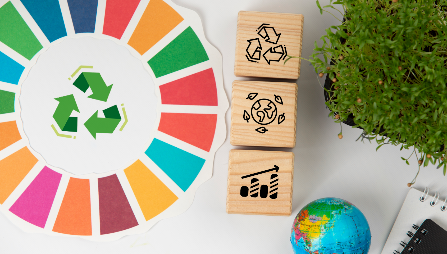 DISEÑO GRÁFICO SUSTENTABLE